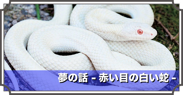 夢の話 -赤い目の白い蛇-